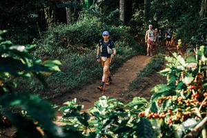 BIB: 
                            <button type="button" onclick="openModal(25844482)" class="btn btn-primary btn-sm float-right btn-popup" data-toggle="modal" data-target=".modal-high-quality">
                        <i class="fas fa-shopping-cart"></i> Add to Cart
                    </button>
                                            <button type="button" onclick="isThisMe(25844482, true)" class="btn btn-success btn-sm float-right btn-popup btn-isme hidden" data-toggle="tooltip" data-placement="bottom" title="นี่คือรูปของคุณใช่ไหม คลิกที่นี่เพื่อเอาเข้าอัลบั้ม">
                        <i class="fas fa-plus"></i> Add to album
                    </button>
                    <button type="button" onclick="isThisMe(25844482, false)" class="btn btn-warning btn-sm float-right btn-popup btn-isnotme hidden">
                        <i class="fas fa-ban"></i> Remove from album
                    </button>